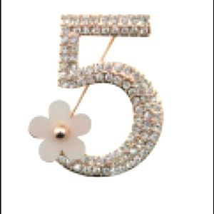 Number 5 Fashion Brooch